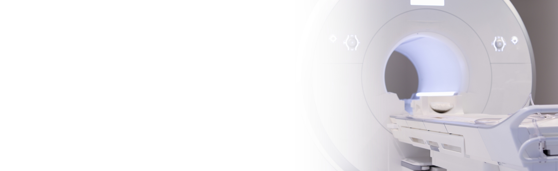 Banner 1