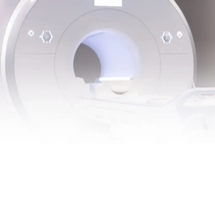 Banner 1