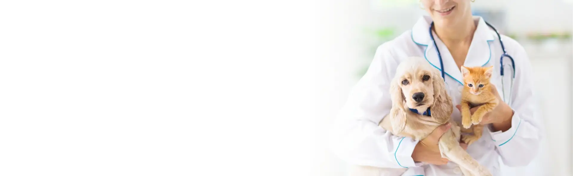 Banner 2