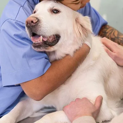 Eletrocardiograma