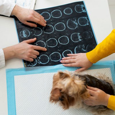 Tomografia em Pet