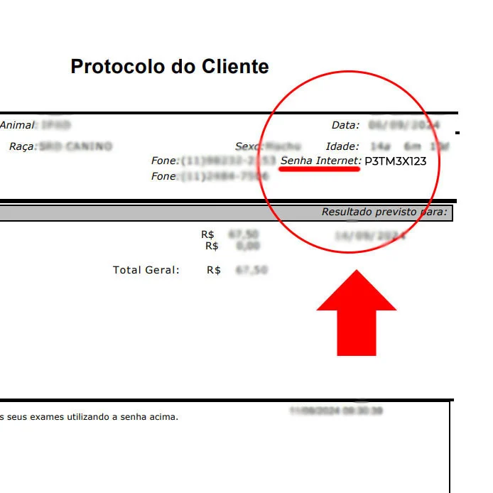 Protocolo do Cliente